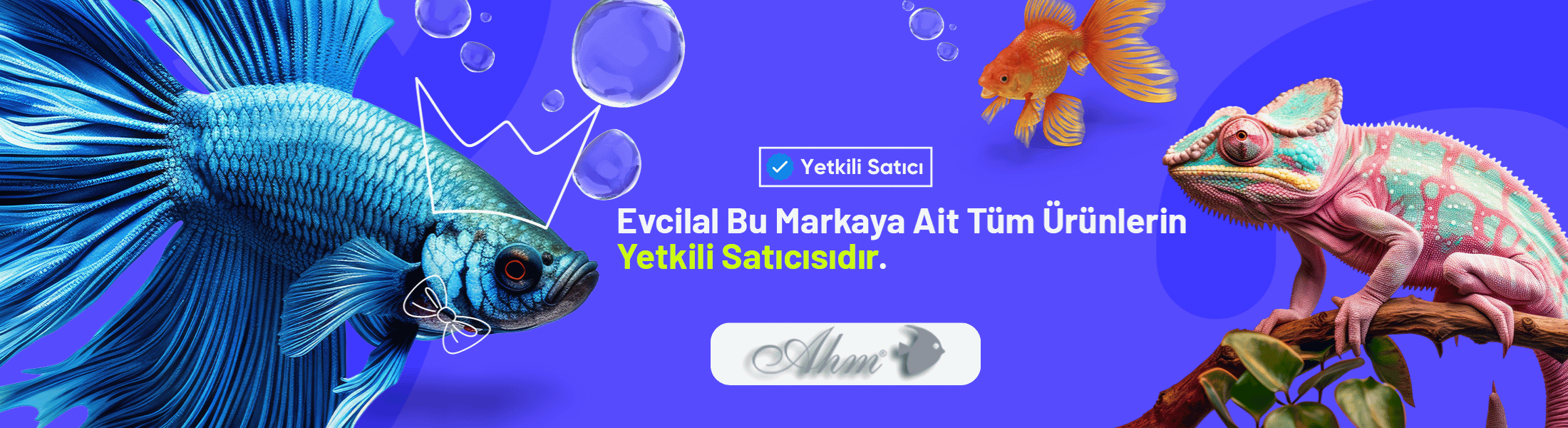 Ahm akvaryum ürünleri 